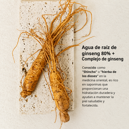 Essencia de Ginseng Beauty Of Joseon 150ml